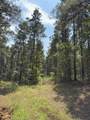 TBD County Road 283 - Photo 19
