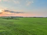 TBD County Road 138 - Photo 13