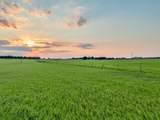 TBD County Road 138 - Photo 29