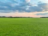 TBD County Road 138 - Photo 30