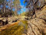 TBD 13.7+/- Acres County Road 2560 - Photo 18