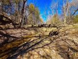 TBD 13.7+/- Acres County Road 2560 - Photo 19