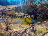 TBD 13.7+/- Acres County Road 2560 - Photo 20