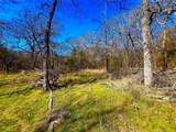 TBD 13.7+/- Acres County Road 2560 - Photo 22