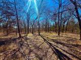 TBD 13.7+/- Acres County Road 2560 - Photo 29