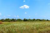 Tract 3 TBD Lcr 392 - Photo 22