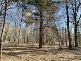 TBD Lot 1 County Road 2200 - Photo 15