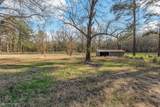 5340 Colquitt Road - Photo 6