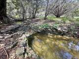 TBD County Road 174 - Photo 26