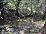 TBD County Road 174 - Photo 34