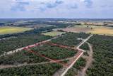 Lot 28 County Road 179A - Photo 11