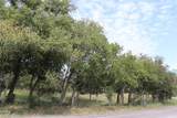 3012 Nolan River Road - Photo 1
