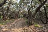11157 State Highway 36 - Photo 30