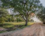 11157 State Highway 36 - Photo 38