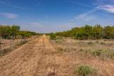 TBD County Road 242 - Photo 10