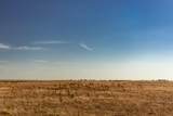 TBD County Road 242 - Photo 12