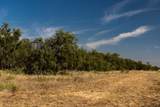 TBD County Road 242 - Photo 14