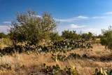 TBD County Road 242 - Photo 2