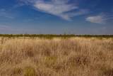 TBD County Road 242 - Photo 22