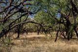 TBD County Road 242 - Photo 3