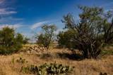 TBD County Road 242 - Photo 40