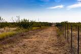 TBD County Road 242 - Photo 8