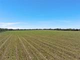902 Mattlage Road - Photo 4