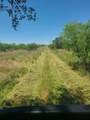 5860 County Road 423 - Photo 16