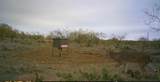 5860 County Road 423 - Photo 32