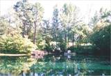 2900 Robertson Avenue - Photo 34