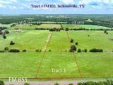 Tract 3 Fm 855 - Photo 1