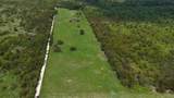 8410 County Road 0090 - Photo 11