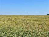 TBD 105 acres Dale Acres Road - Photo 6