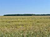 TBD 105 acres Dale Acres Road - Photo 8