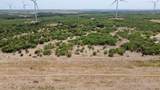 15055 County Road 306 - Photo 32