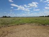 TBD 20 Acres Cr 3150 - Photo 11