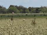TBD 20 Acres Cr 3150 - Photo 18