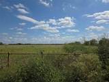 TBD 20 Acres Cr 3150 - Photo 35