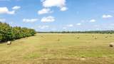 1750 County Road 34430 - Photo 8