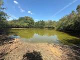 808 Line Road - Photo 35