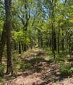 9515 County Road 114 - Photo 7