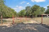 12145 Tree Lake Drive - Photo 37