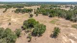 TBD County Road 401 - Photo 13