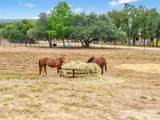6000 County Road 351 - Photo 11
