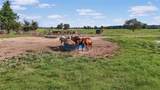 1786 Co Rd 1070 - Photo 25