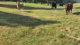 768 County Road 2220 - Photo 24
