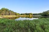 3773 Cottonwood Creek Road - Photo 10