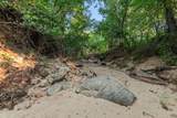 3773 Cottonwood Creek Road - Photo 8