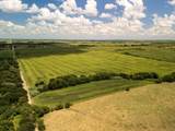 11 Acres County Rd 3150 - Photo 13