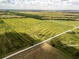 11 Acres County Rd 3150 - Photo 4